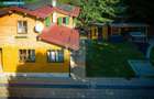 Casa de vacanta superba in Crivaia - 20