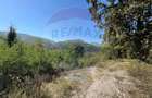 Teren intravilan Buru | ideal agrement, activita?i outdoor - 3