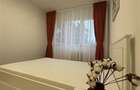 Apartament cu 2 camere semidecomandat în Podu Roș - 8