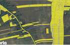 Teren intravilan/extravilan Ciofeni, ID: R3013251 - 5