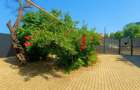 Apartament cu 3 camere semidecomandat în Basarabia - 4