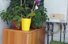 Proprietar inchiriez apartament 2 camere - 7