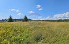 Teren Construcții intravilan de 30930 mp, în Poiana Stampei - 8