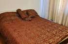 Apartament cu 2 camere semidecomandat în Soarelui - 5