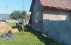 Casă cu 2 camere în Marga - 2