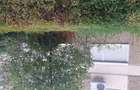Apartament cu 3 camere în Rogerius - 2
