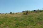 Teren agricol intravilan de 450 mp, în Chinteni - 1
