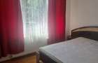 Apartament cu 2 camere semidecomandat în Astra - 9