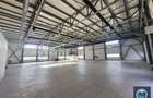 Spatiu industrial de inchiriat, zona Exterior Vest, 1185 mp #16782 - 2
