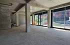 Spatiu comercial - 130 mp - Family Market Bucium , Freya - 3