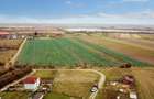 Teren Construcții de 631 mp, în Hălchiu - 8