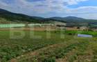 Teren extravilan, de vanzare, 6500 mp, zona Crasnei - 4