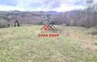 Teren extravilan Valea Doftanei 20.500 mp 6e mp - 15