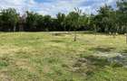 Casă cu 8 camere cu Teren 1000 Mp în Săcălaz - 6