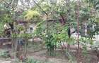 Casă cu 4 camere în Cohani - 5 Casă cu 4 camere în Cohani - 5