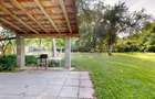 Casă individuală cu 5 camere cu Teren 1008 Mp în Purcăreni - 14