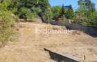 Teren intravilan Turcesti (Pitesti) - 1083 mp, demisol ex... - 3