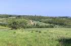 Casa la tara, Calea Mare, Bihor, teren mare, 2 intrari auto vanzare - 5