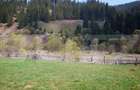 Teren intravilan de 1299 mp, în Central - 5