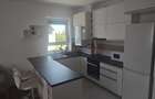 Apartament cu 2 camere de inchiriat + boxa si loc de parcare subteran - Avantgarden 3 - 4