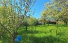 Teren de vanzare in Turda pentru construc?ie casa (sau doua case) - 5