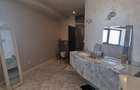 PIPERA IANCU NICOLAE VILA LUX RENOVATA COMPLET 2022 - 59
