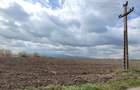 Teren intravilan de 45770 mp, în Stupini - 4