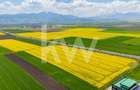Teren 10.600 mp în Codlea – ideal pentru investiție industrială - 8