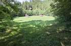 Teren de vanzare com. Borca Sat Borca jud. Neamt - 8