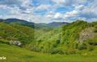 Proprietate cu poten?ial pensiune sat Masca, 45 km Cluj - 1