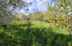 Casa de vanzare in: RASINARI-Marginimea SIBIULUI - 1