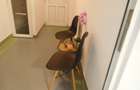 Apartament cu 2 camere semidecomandat în Central - 10