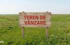 4 /mpTeren agricol extravilan Puchenii Mari-PH, Irigatie, parcel - 1