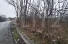 Teren intravilan 480 mp, Priseaca, jud. Dambovi?a - 1