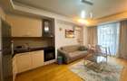 Apartament cu 2 camere semidecomandat în Herăstrău - 7
