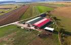 FILM! 18.000 mp,extravilan,agricol+constructii, recomandat:ferma,investitii agri - 6