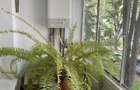 Vand apartament 3 cam 67 mp utili - 1