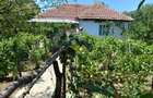 Casa de vanzare la ?ara - 1