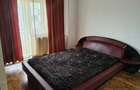 Apartament cu 2 camere semidecomandat în Micălaca - 5