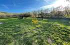 Teren agricol de 5500 mp, în Sopor - 2