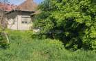 Casa individuala | Gradina | Apahida - 3