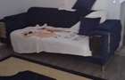 Inchiriere apartament 2 camere - 1