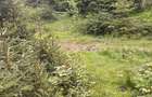 Vand Teren Vartop-Arieseni - 2