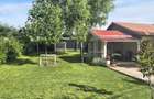 Mihai Bravu, Parcul Natural Comana la 30 km Bucuresti, jud. Giurgiu