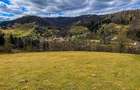 Teren intravilan 6.260 mp Vidra Alba langa Arie? | utilita?i | se poate impar?i - 2