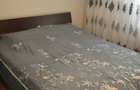 Apartament cu 3 camere decomandat în Dristor - 16