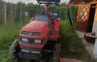 Teren extravilan in Baicoi 10.000mp plantatie mure --80.000e - 4