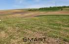 Teren agricol de 526 mp, în Cașolț - 1