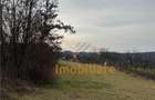 Teren de 3000 mp, în Betfia - 11