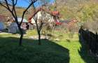 Direct proprietar, vand casa in orasel de munte, Brezoi, jud. Valcea - 9